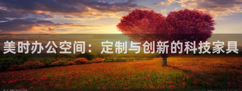 龙八国际安全