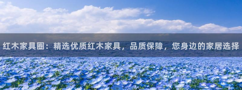 龙八国际改名
