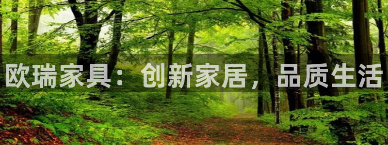 龙八国际娱 乐