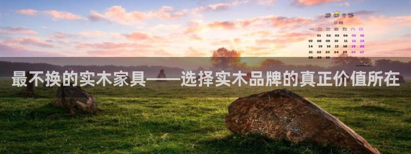 龙八国际app官网