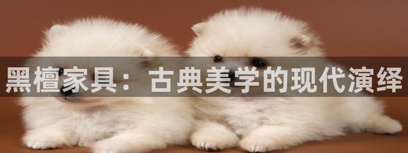龙八国际app客户端下载不了