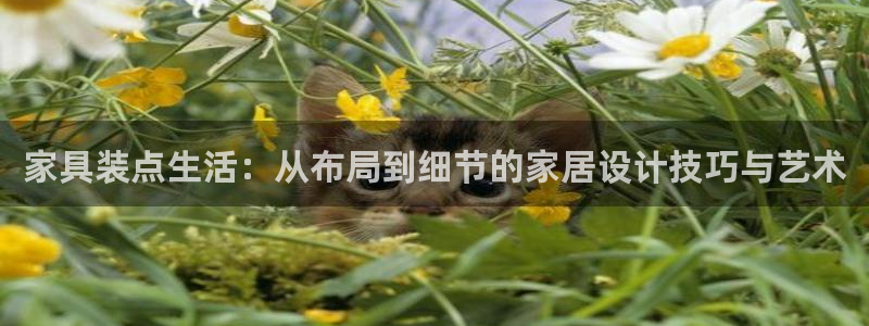 龙八国际手机版下载平台