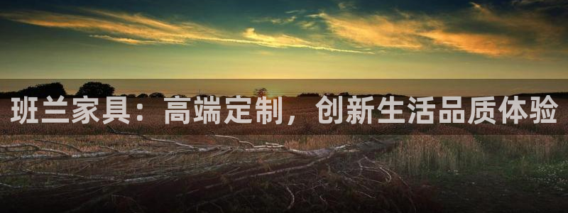 龙八国际官方手游