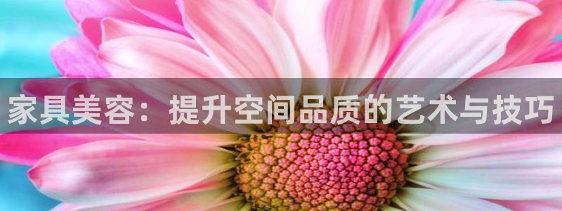 龙八国际什么游戏给钱：家具美容：提升空间品质的艺术与技巧