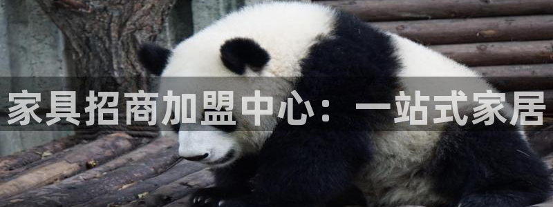 龙八国际娱乐在线：家具招商加盟中心：一站式家居