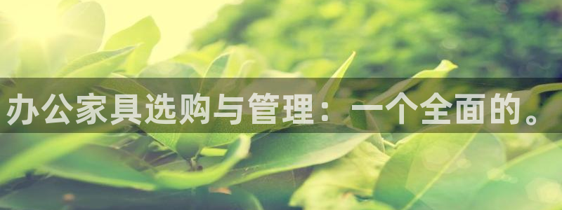 龙八国际手机app