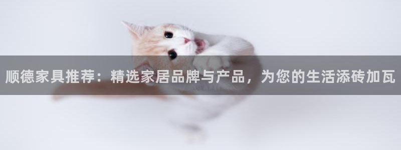 龙八国际更新