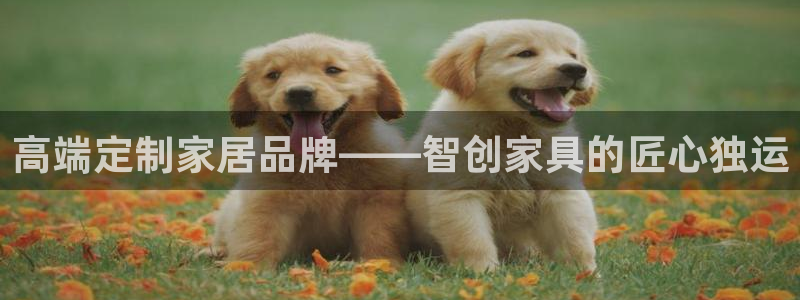 龙八国际可b48点tv