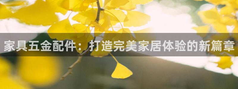 龙八国际现金