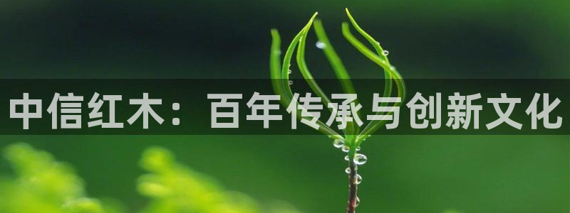 龙八国际网页版本