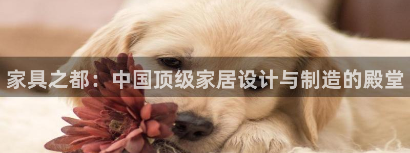 龙八国际娱乐官方