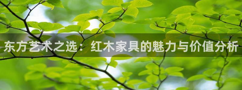 下载龙八国际手机版游戏