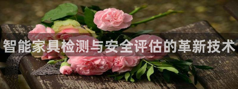 龙八国际网q18点tv