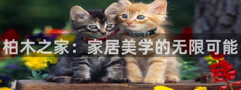龙八国际下载地址