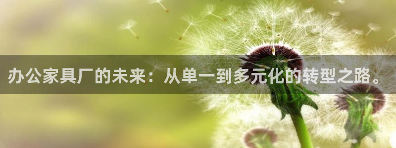龙八国际手机网页版