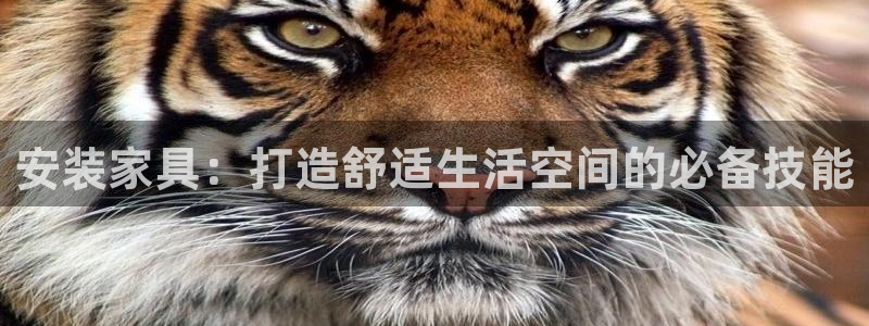 龙八国际娱乐App客户端下载