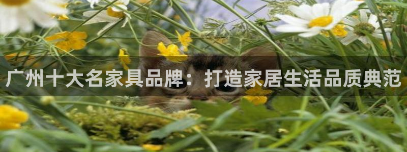 龙八国际客户端pt