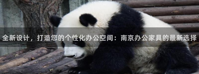 龙八国际娱乐平台网站
