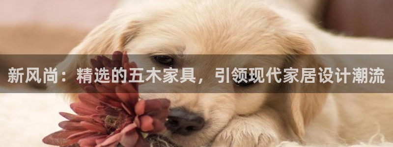 龙八国际害死多少人