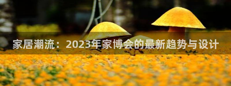 龙八国际88
