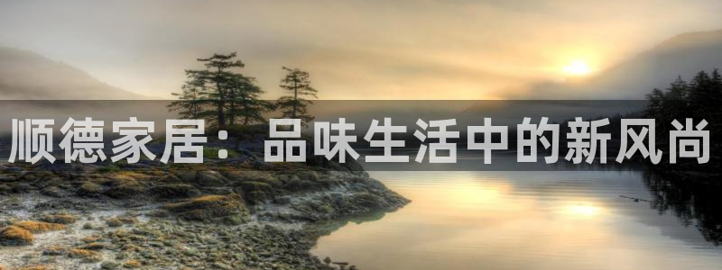 龙八国际手机下载安装
