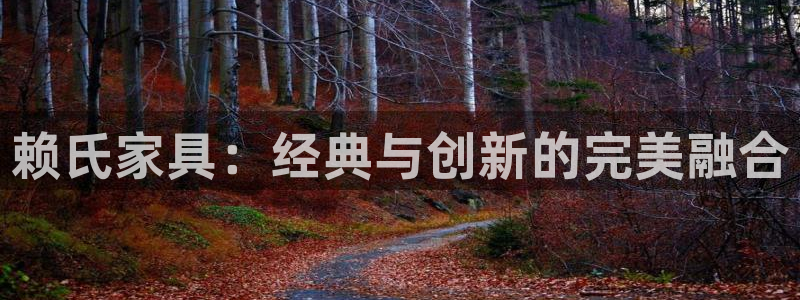 龙八国际怎么注册手机端