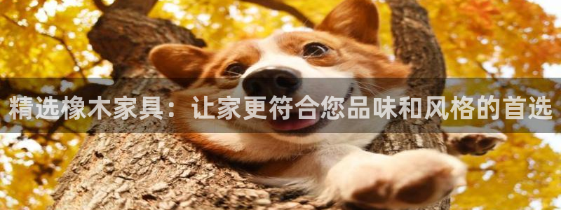 龙八国际l8520：精选橡木家具：让家更符合您品味和风格的首
