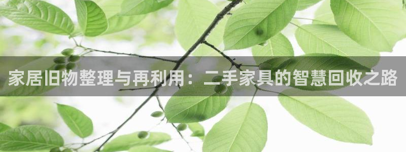 龙八国际登录入口