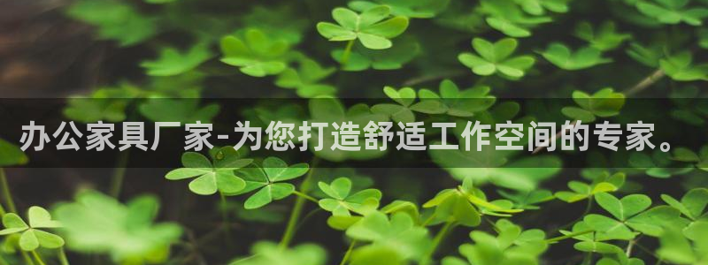 龙八国际APP官方版
