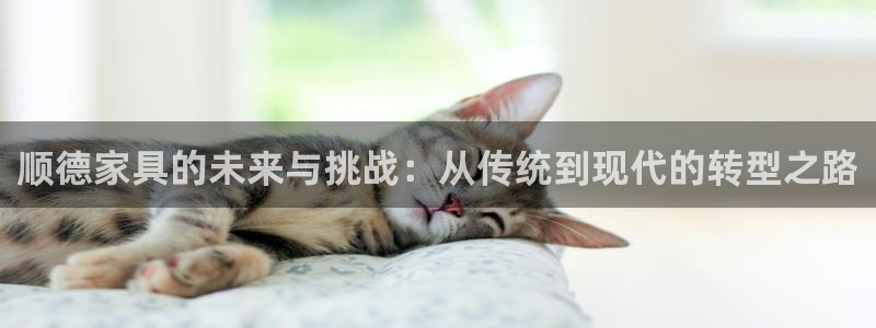 龙八国际可b48点tv