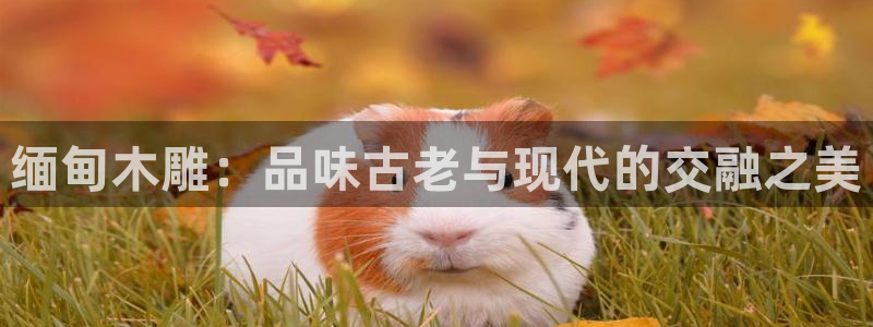 龙八国际客户端下载平台