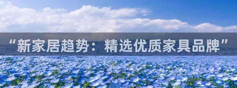 龙八国际下载安装彩