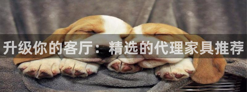 龙八国际app客户端下载不了