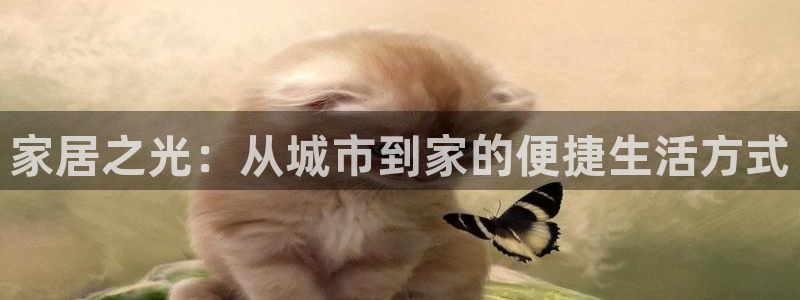 头号玩家龙八国际网址