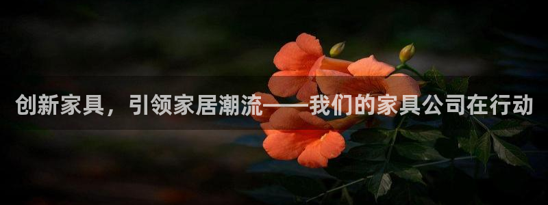 龙八国际网站多少