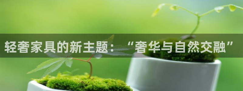 龙八国际怎么注册安卓