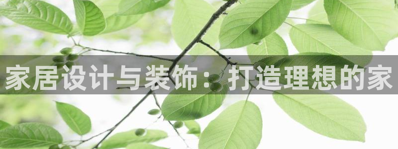龙八国际官方登录网址