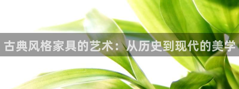 龙八国际网