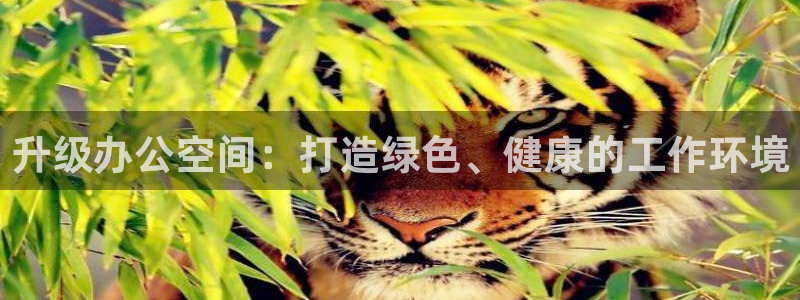 龙八国际娱乐充值