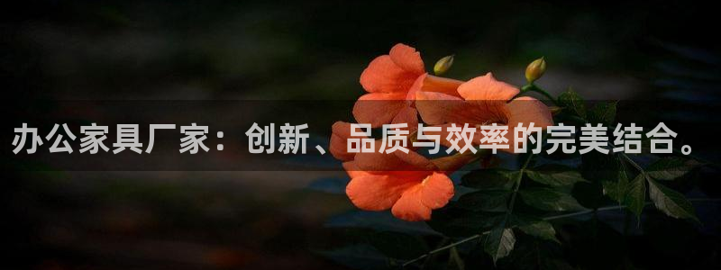 下载龙八国际官网