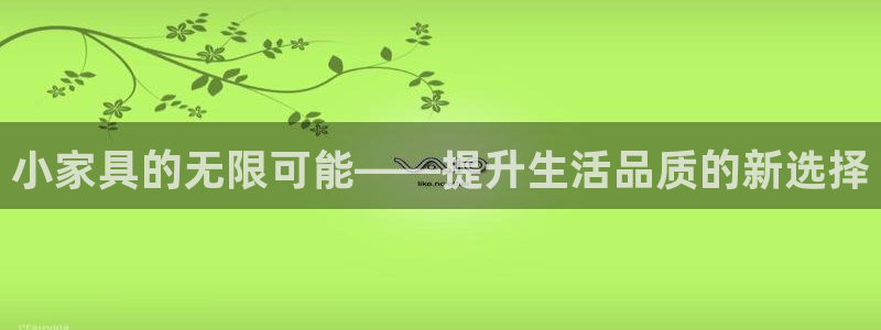 龙八国际集团