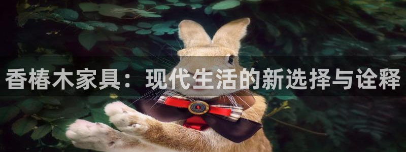 国际龙八国集团