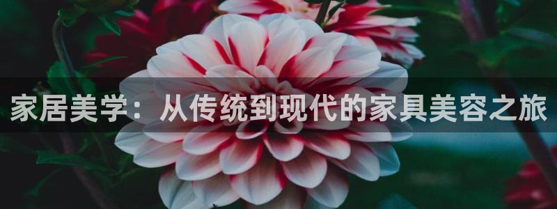 龙八国际平台手机版