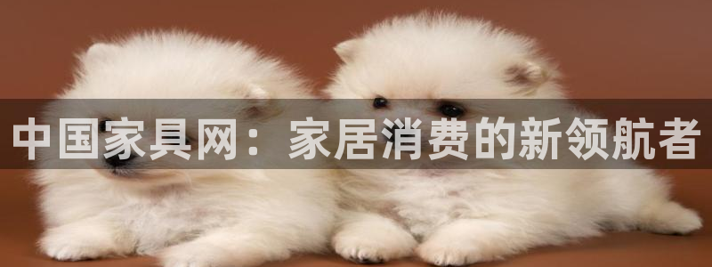 龙八国际手机网页版