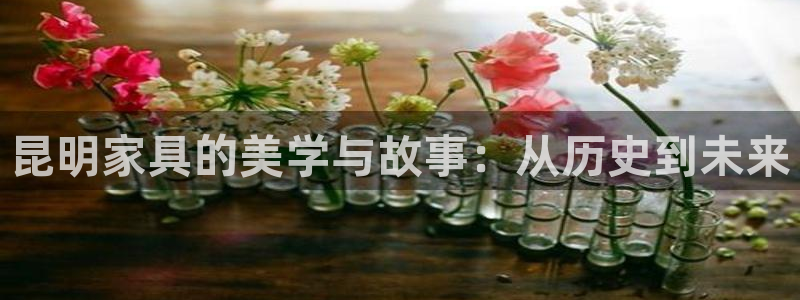 龙八国际娱乐手机登录