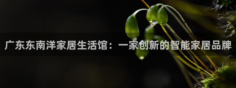 龙八国际怎么注册app