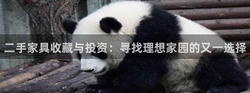 龙八国际官方网站app登录