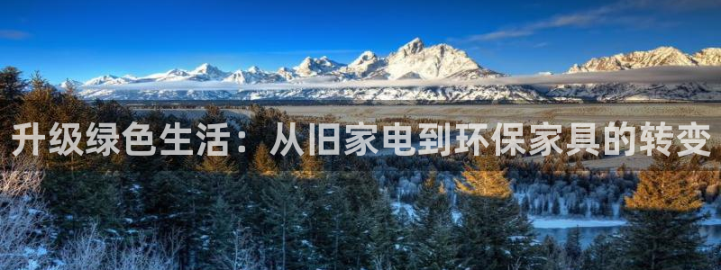 龙八国际下载链接安卓