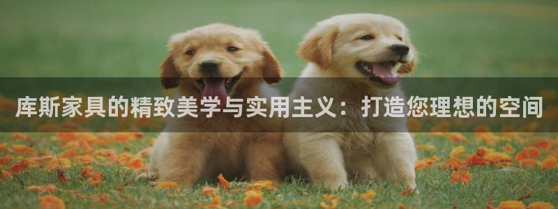 龙八国际手机版首页