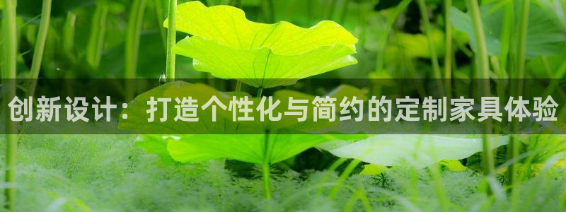 龙八国际手机端